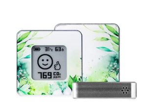 Airvalent Smart Home Premium Indoor Air Quality Monitor