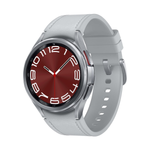 Samsung Galaxy Watch6 Classic 43mm Silver Case with Sport Band (S/M) – Silver